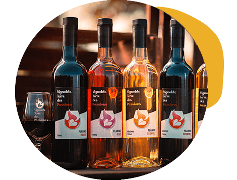 Vignobles, distilleries & microbrasseries