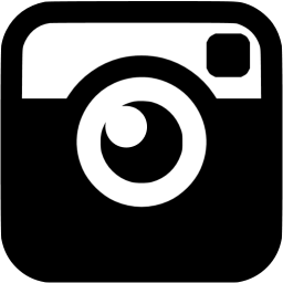 Insta logo 2
